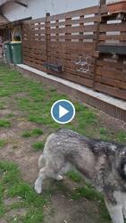 Hódmezővásárhely