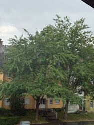 Nagykanizsa