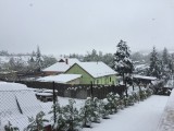 Mogyoród