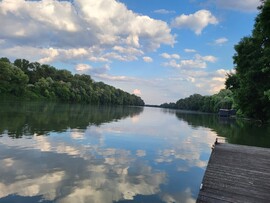Algyő