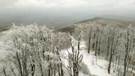 Tél a tavaszban