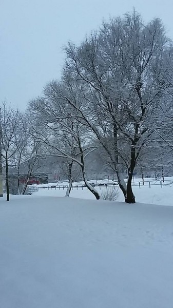 Salgótarján