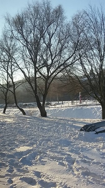 Salgótarján