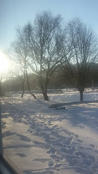 Salgótarján