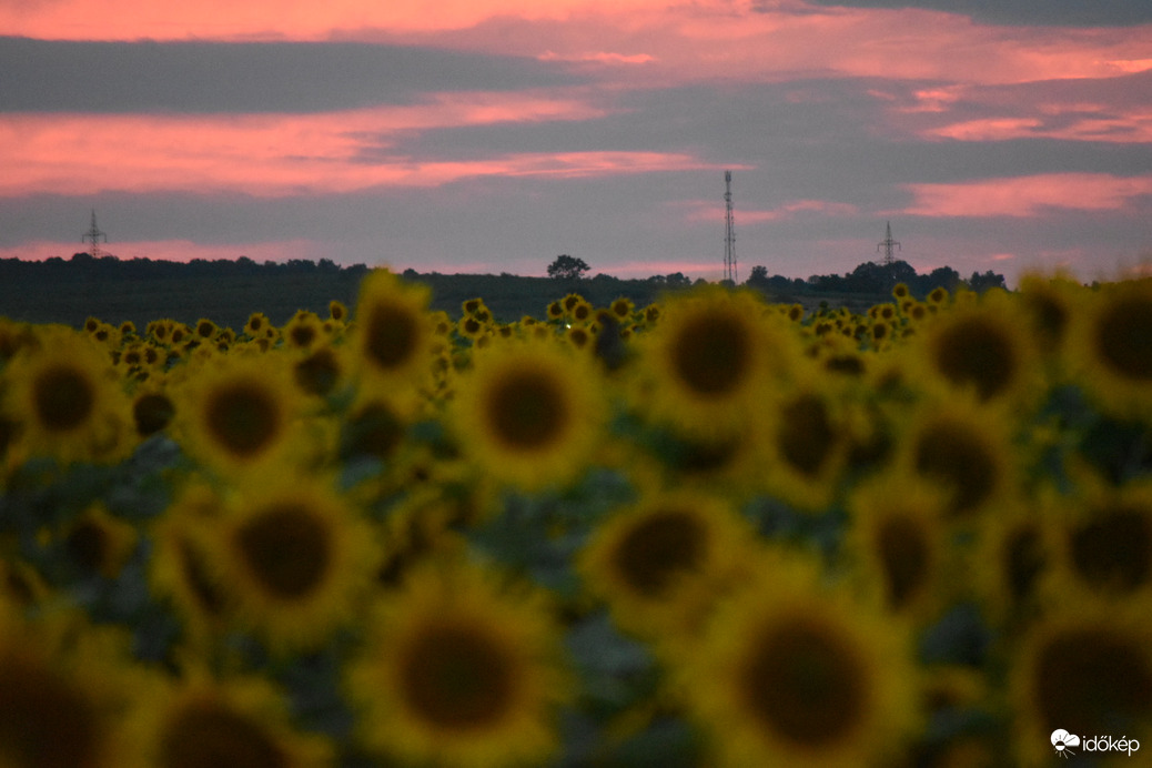Csodálatos naplemente Nagytályáról