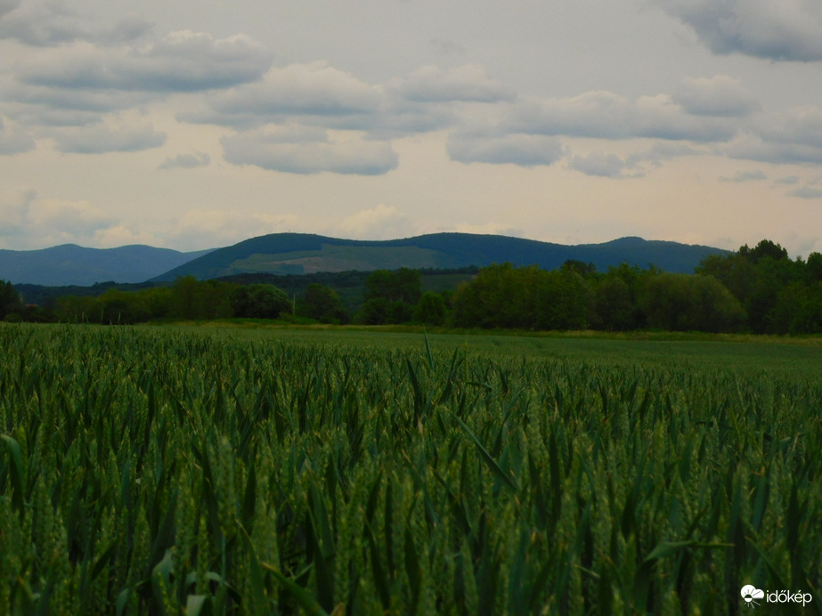 Felhők a bükk felett