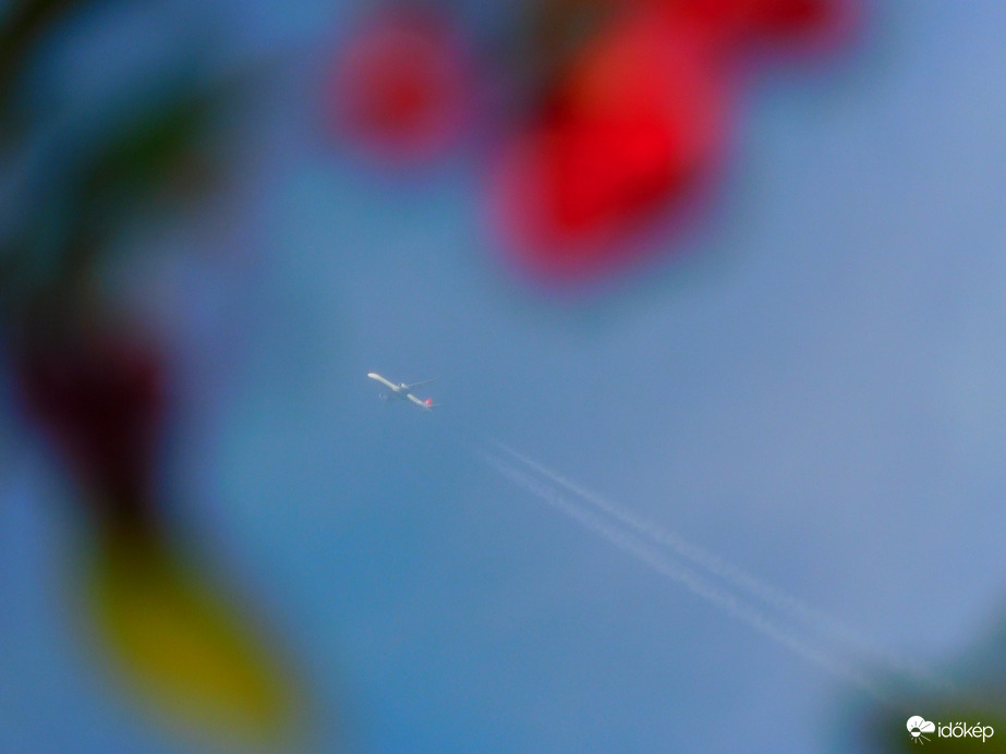 Repülés a cseresznyében