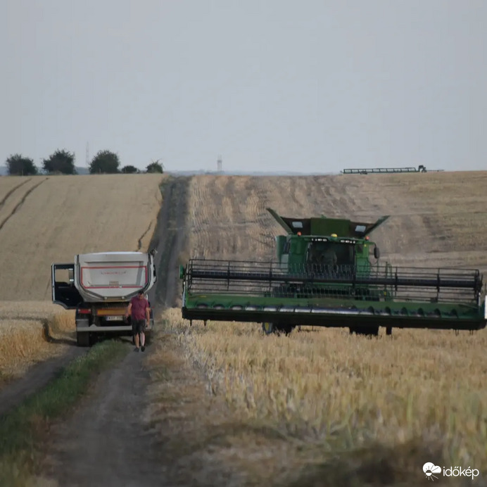 Széles egy járgány