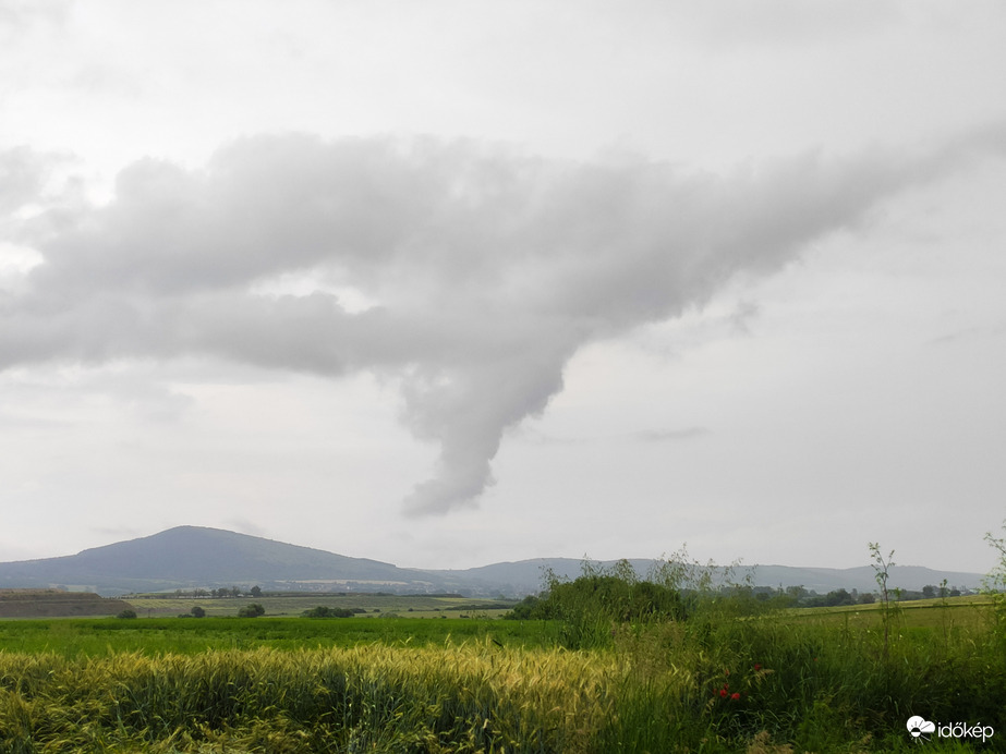 Tuba képződmény Galyatető lankáin