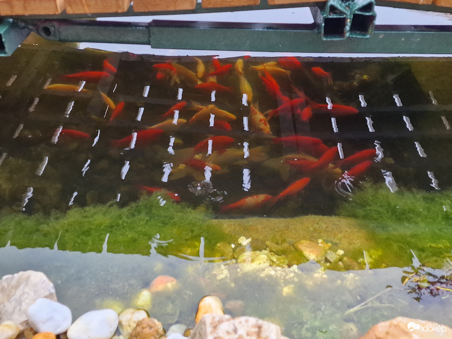 Elbújtunk az eső elől:)