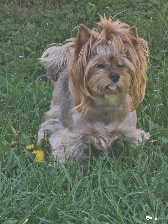 Utálom a meleget-_-