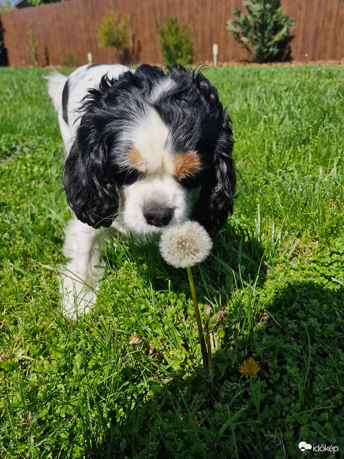 Virágot a virágnak:)