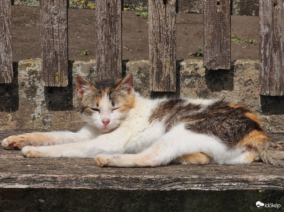 Nekem még nagyon reggel van:)