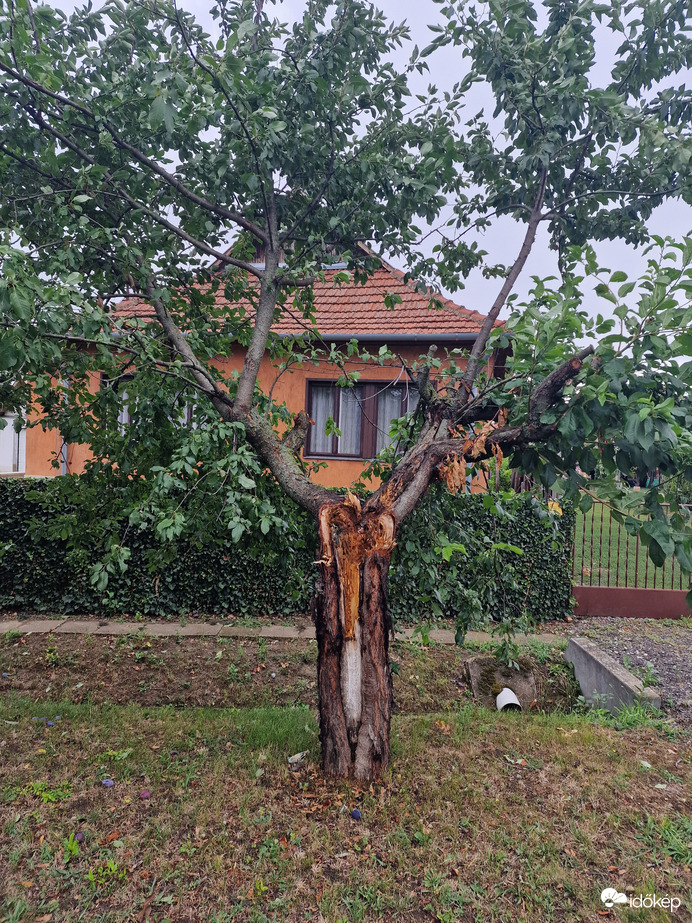 Tegnapi vihar kárai