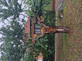 Tegnapi vihar kárai