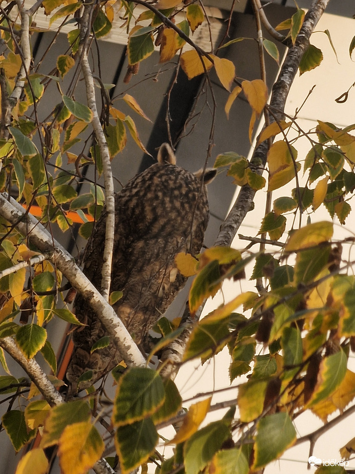 Megsértődtem rád se nézek:D
