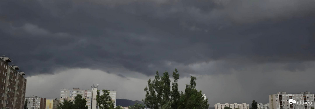 Megérkezett az utánpótlás:) 7