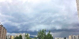 Megérkezett az utánpótlás:) 5