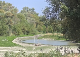 A Duna alacsony vízállása 6