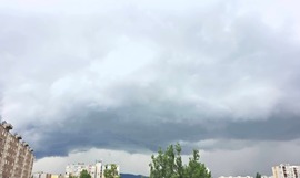 Megérkezett az utánpótlás:) 8