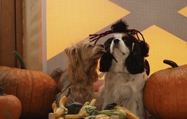 Tesós halloween:)♡ 2