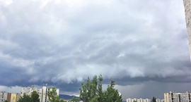 Megérkezett az utánpótlás:) 4