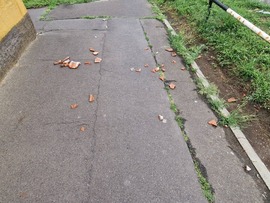 Tegnapi vihar kárai 3