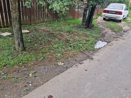 Tegnapi vihar kárai 6