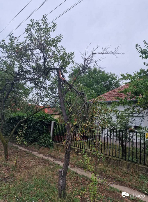 Tegnapi vihar kárai 10
