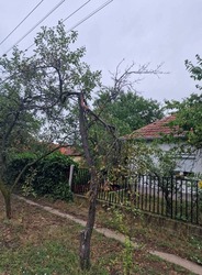 Tegnapi vihar kárai 10