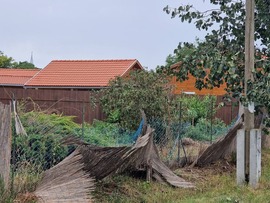 Tegnapi vihar kárai 8