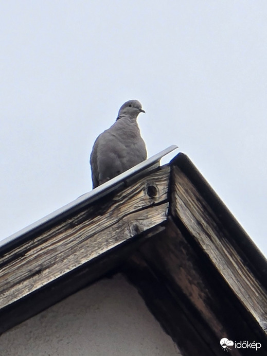 Modern térfigyelő kamera:)