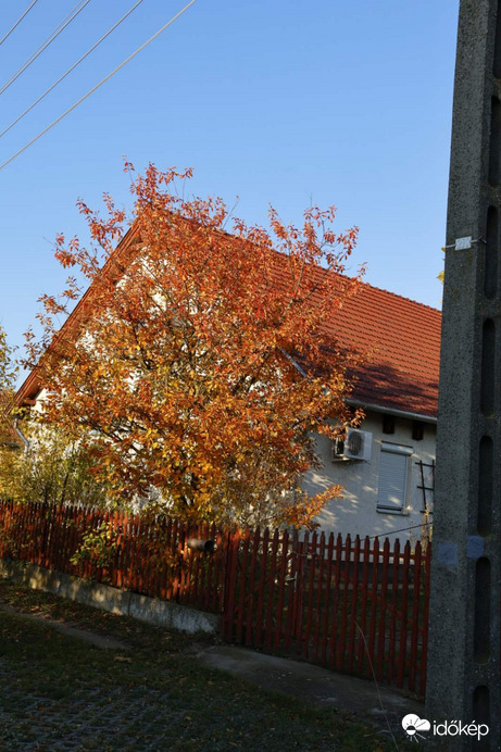 Őszülünk:) 2