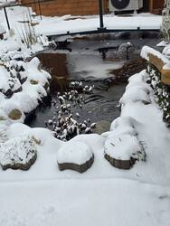 A tó téli ruhát öltött:) 2