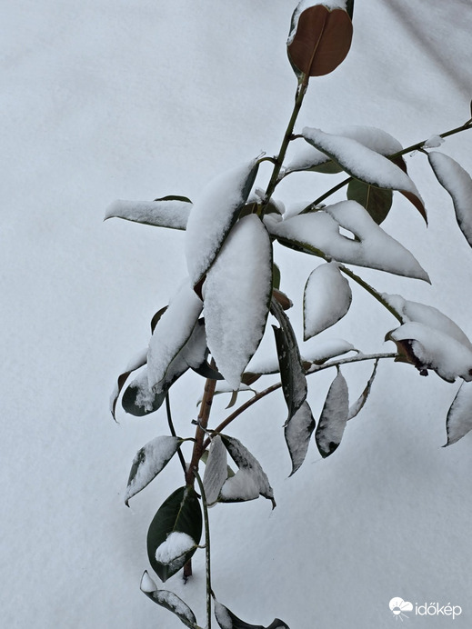 Egy kis tél:)