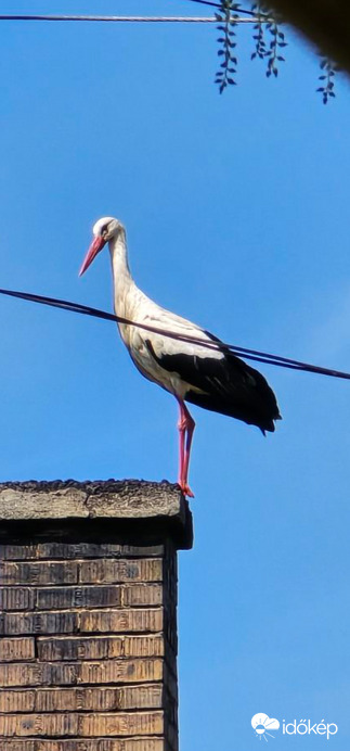 Van ott bent valaki?:)