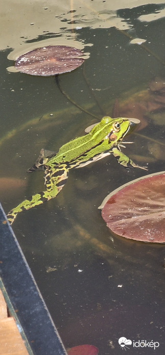 Élvezzétek még ki a jó időt!