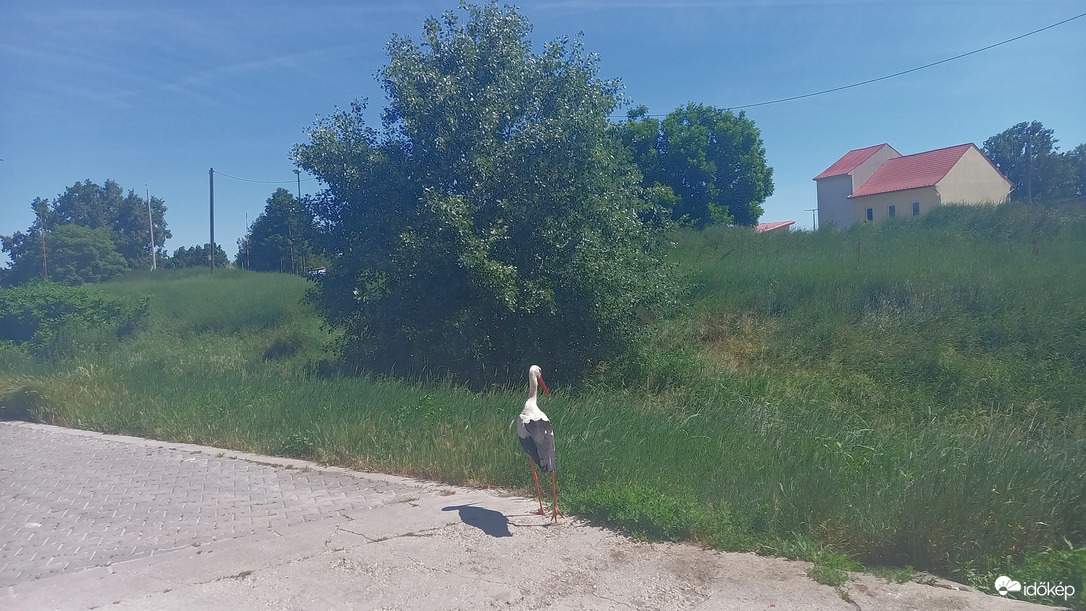 Szekszárd