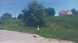 Szekszárd