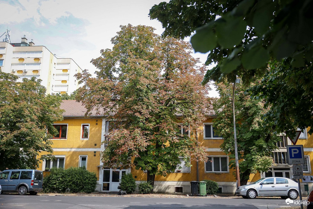 Szekszárd