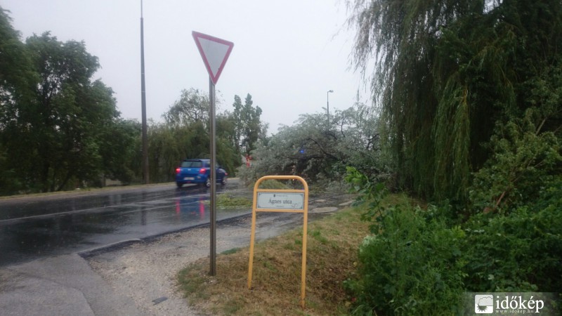 Érd
