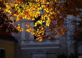 Pécs