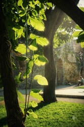 Pécs
