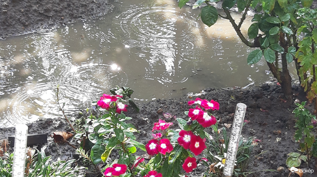 Eső után