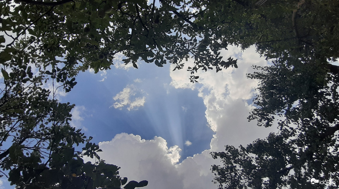 Kilátás a fejem fölött