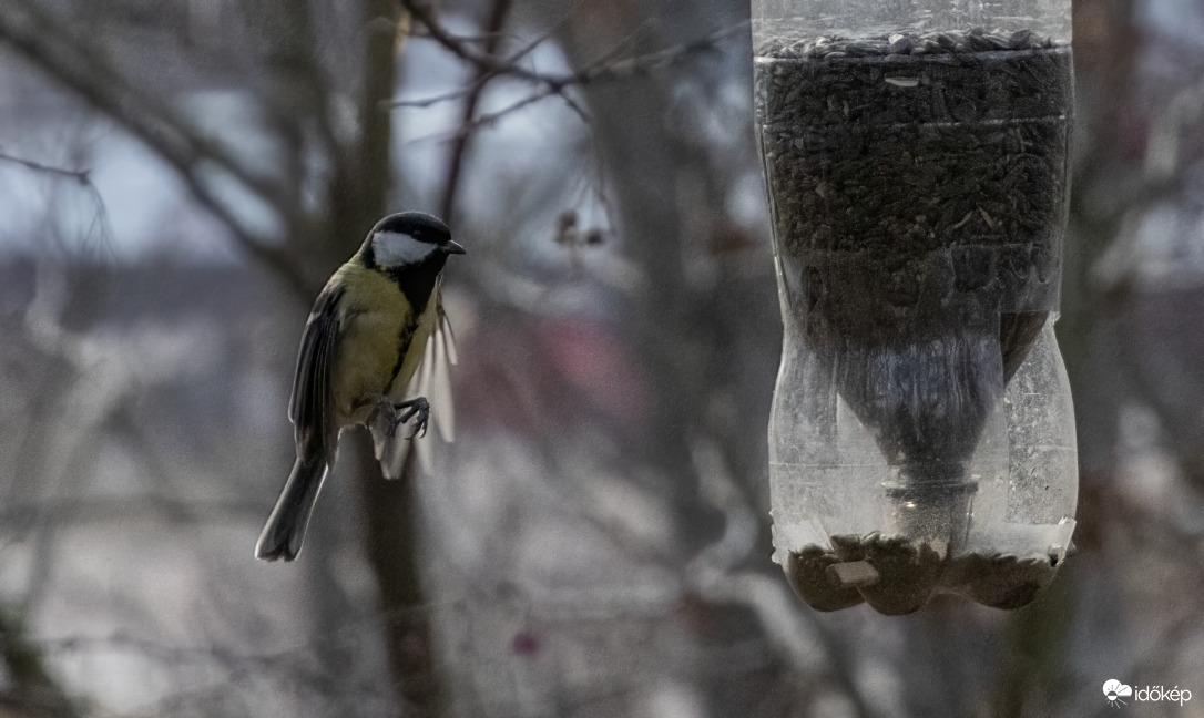 Kell nekem ez a kaja? Nem is tudom...