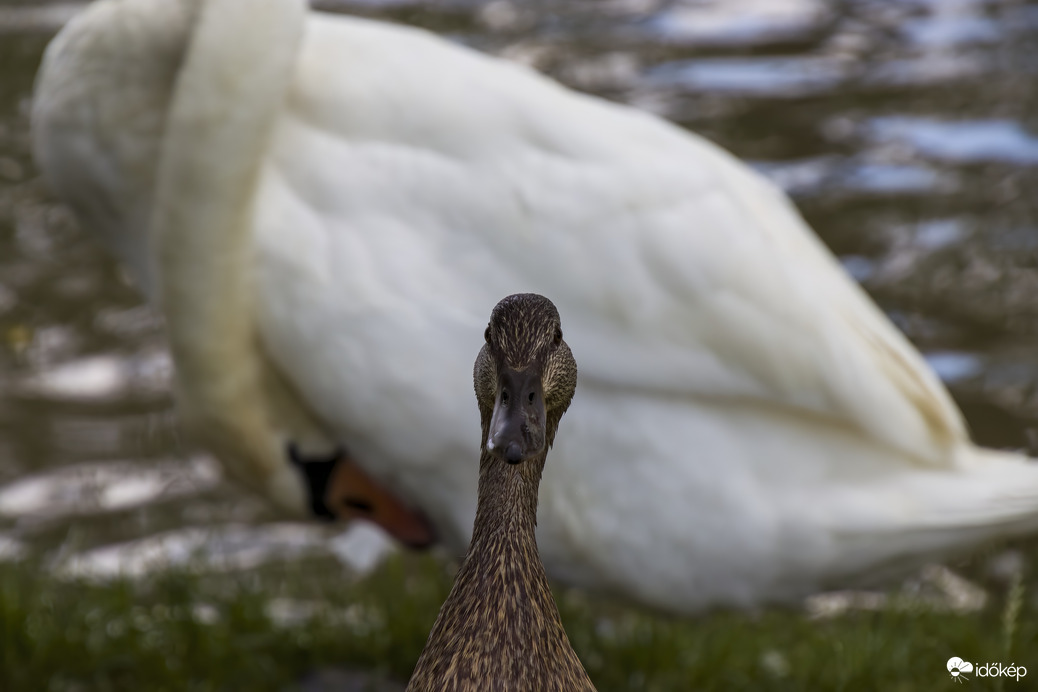 Mögöttem van, igaz?
