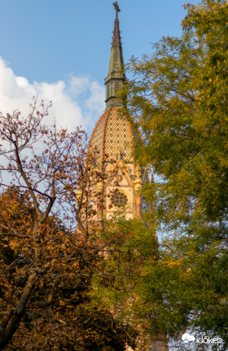 Ságuló Fák között