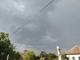 Tiszasas