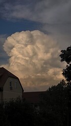 Herend